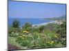 Laguna Beach, California, USA-Geoff Renner-Mounted Photographic Print