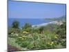 Laguna Beach, California, USA-Geoff Renner-Mounted Photographic Print