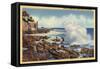 Laguna Beach, California - View of a Typical Shoreline-Lantern Press-Framed Stretched Canvas