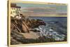 Laguna Beach, California - View of Arch Beach with Flowers-Lantern Press-Stretched Canvas