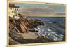 Laguna Beach, California - View of Arch Beach with Flowers-Lantern Press-Mounted Premium Giclee Print