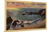 Laguna Beach, California - View of Wood's Cove-Lantern Press-Mounted Art Print