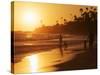 Laguna Beach, Orange County, California, United States of America, North America-Richard Cummins-Stretched Canvas