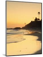 Laguna Beach, Orange County, California, United States of America, North America-Richard Cummins-Mounted Photographic Print