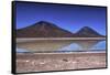 Laguna Blanca, Atacama Desert, Bolivia-Françoise Gaujour-Framed Stretched Canvas