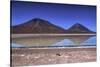 Laguna Blanca, Atacama Desert, Bolivia-Françoise Gaujour-Stretched Canvas