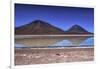 Laguna Blanca, Atacama Desert, Bolivia-Françoise Gaujour-Framed Photographic Print