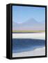 Laguna Cejar with the Licancabur Volcano-Alex Saberi-Framed Stretched Canvas