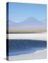 Laguna Cejar with the Licancabur Volcano-Alex Saberi-Stretched Canvas