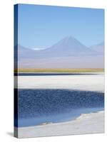 Laguna Cejar with the Licancabur Volcano-Alex Saberi-Stretched Canvas