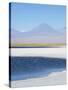 Laguna Cejar with the Licancabur Volcano-Alex Saberi-Stretched Canvas