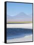 Laguna Cejar with the Licancabur Volcano-Alex Saberi-Framed Stretched Canvas