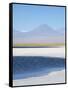 Laguna Cejar with the Licancabur Volcano-Alex Saberi-Framed Stretched Canvas