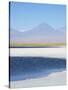 Laguna Cejar with the Licancabur Volcano-Alex Saberi-Stretched Canvas