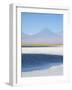 Laguna Cejar with the Licancabur Volcano-Alex Saberi-Framed Photographic Print