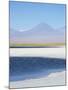 Laguna Cejar with the Licancabur Volcano-Alex Saberi-Mounted Photographic Print