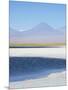 Laguna Cejar with the Licancabur Volcano-Alex Saberi-Mounted Photographic Print