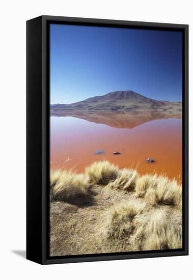 Laguna Colorada on the Altiplano, Potosi Department, Bolivia, South America-Ian Trower-Framed Stretched Canvas