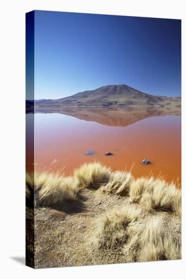 Laguna Colorada on the Altiplano, Potosi Department, Bolivia, South America-Ian Trower-Stretched Canvas