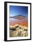 Laguna Colorada on the Altiplano, Potosi Department, Bolivia, South America-Ian Trower-Framed Photographic Print