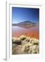 Laguna Colorada on the Altiplano, Potosi Department, Bolivia, South America-Ian Trower-Framed Photographic Print