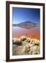 Laguna Colorada on the Altiplano, Potosi Department, Bolivia, South America-Ian Trower-Framed Photographic Print