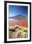 Laguna Colorada on the Altiplano, Potosi Department, Bolivia, South America-Ian Trower-Framed Photographic Print