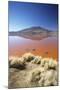 Laguna Colorada on the Altiplano, Potosi Department, Bolivia, South America-Ian Trower-Mounted Photographic Print