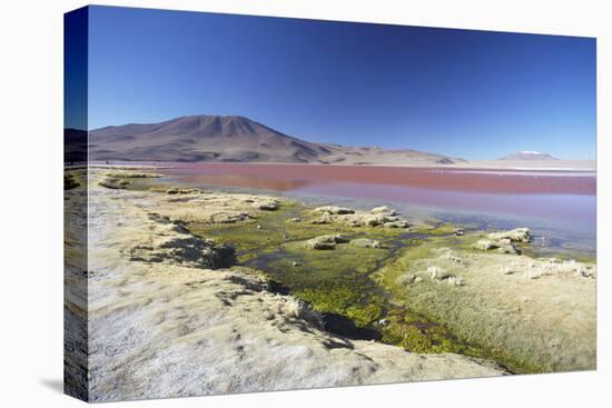 Laguna Colorada on the Altiplano, Potosi Department, Bolivia, South America-Ian Trower-Stretched Canvas