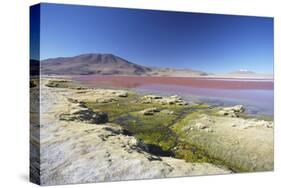 Laguna Colorada on the Altiplano, Potosi Department, Bolivia, South America-Ian Trower-Stretched Canvas