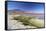 Laguna Colorada on the Altiplano, Potosi Department, Bolivia, South America-Ian Trower-Framed Stretched Canvas