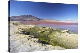 Laguna Colorada on the Altiplano, Potosi Department, Bolivia, South America-Ian Trower-Stretched Canvas