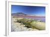 Laguna Colorada on the Altiplano, Potosi Department, Bolivia, South America-Ian Trower-Framed Photographic Print