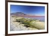 Laguna Colorada on the Altiplano, Potosi Department, Bolivia, South America-Ian Trower-Framed Photographic Print