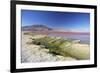 Laguna Colorada on the Altiplano, Potosi Department, Bolivia, South America-Ian Trower-Framed Photographic Print