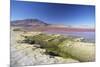 Laguna Colorada on the Altiplano, Potosi Department, Bolivia, South America-Ian Trower-Mounted Photographic Print