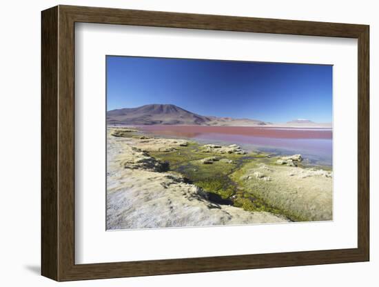 Laguna Colorada on the Altiplano, Potosi Department, Bolivia, South America-Ian Trower-Framed Photographic Print