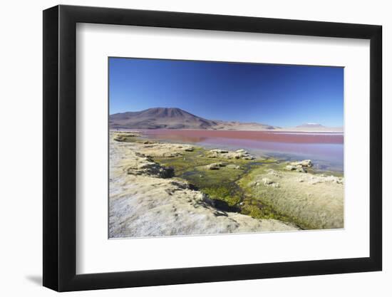 Laguna Colorada on the Altiplano, Potosi Department, Bolivia, South America-Ian Trower-Framed Photographic Print