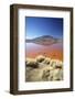 Laguna Colorada on the Altiplano, Potosi Department, Bolivia, South America-Ian Trower-Framed Photographic Print