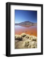 Laguna Colorada on the Altiplano, Potosi Department, Bolivia, South America-Ian Trower-Framed Photographic Print