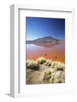 Laguna Colorada on the Altiplano, Potosi Department, Bolivia, South America-Ian Trower-Framed Photographic Print