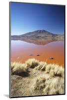 Laguna Colorada on the Altiplano, Potosi Department, Bolivia, South America-Ian Trower-Mounted Photographic Print