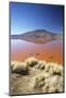 Laguna Colorada on the Altiplano, Potosi Department, Bolivia, South America-Ian Trower-Mounted Photographic Print