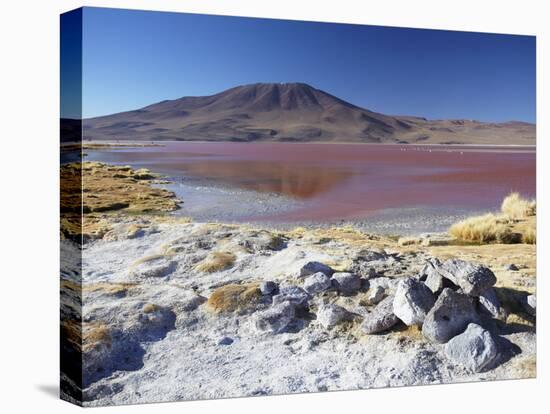 Laguna Colorada on the Altiplano, Potosi Department, Bolivia-Ian Trower-Stretched Canvas