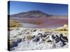 Laguna Colorada on the Altiplano, Potosi Department, Bolivia-Ian Trower-Stretched Canvas