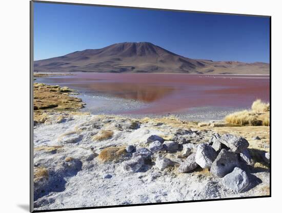 Laguna Colorada on the Altiplano, Potosi Department, Bolivia-Ian Trower-Mounted Photographic Print