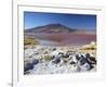 Laguna Colorada on the Altiplano, Potosi Department, Bolivia-Ian Trower-Framed Photographic Print