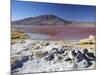 Laguna Colorada on the Altiplano, Potosi Department, Bolivia-Ian Trower-Mounted Photographic Print