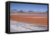 Laguna Colorada (Red Lagoon) Encrusted-Kim Walker-Framed Stretched Canvas