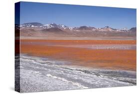 Laguna Colorada (Red Lagoon) Encrusted-Kim Walker-Stretched Canvas